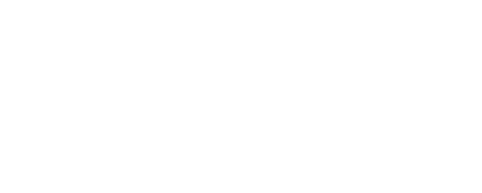 Custom DayZ Services logo